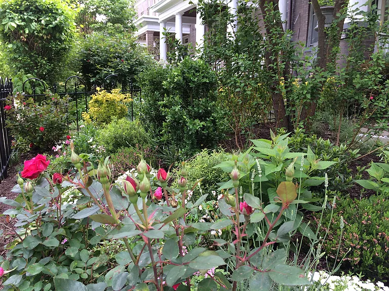 3150 19th St NW #B — Photo 18