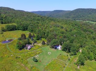 535 Dibble Rd, Andes, NY 13731