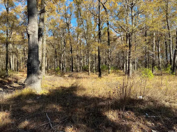 1309 Lindsey Dr, Pine Bluff, AR 71603