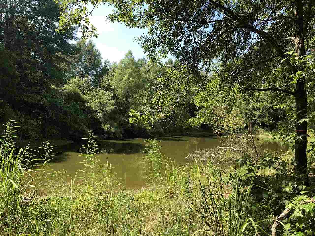 876 Livingston Vernon Rd, Flora, MS 39071 Zillow