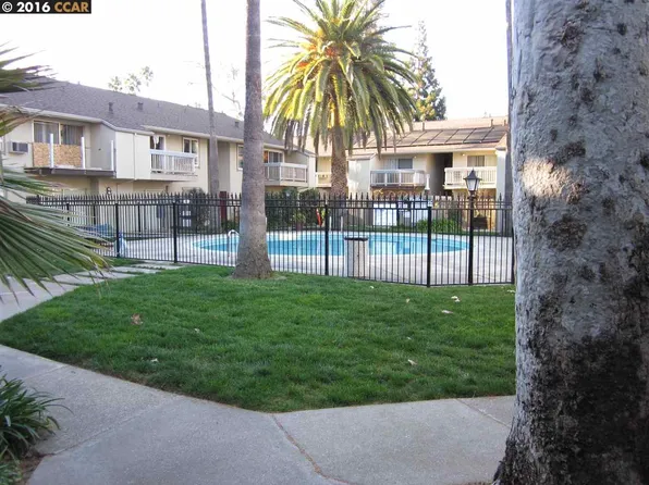 1241 Homestead Ave APT 214, Walnut Creek, CA 94598