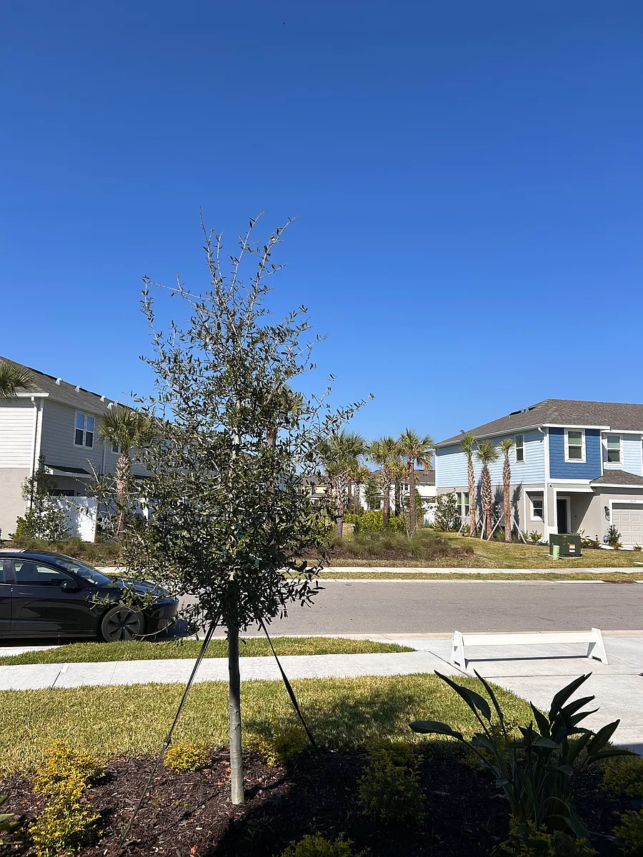 Building Photo - 15188 Cuzcorro Ct