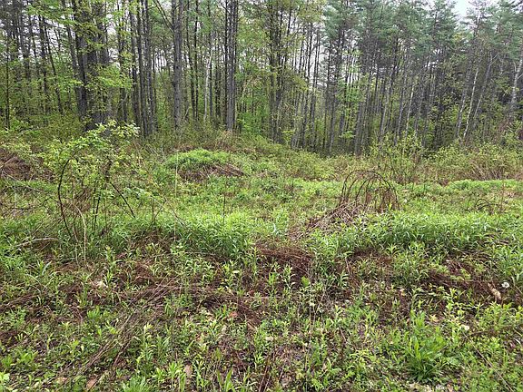 3rd image of 63 West Hill