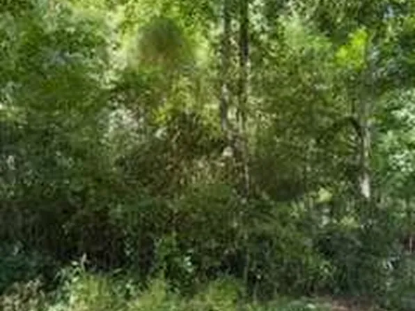 0 Windsor Way #3, Newnan, GA 30263