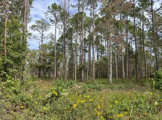 5030 Joseph St, Hastings, FL 32145