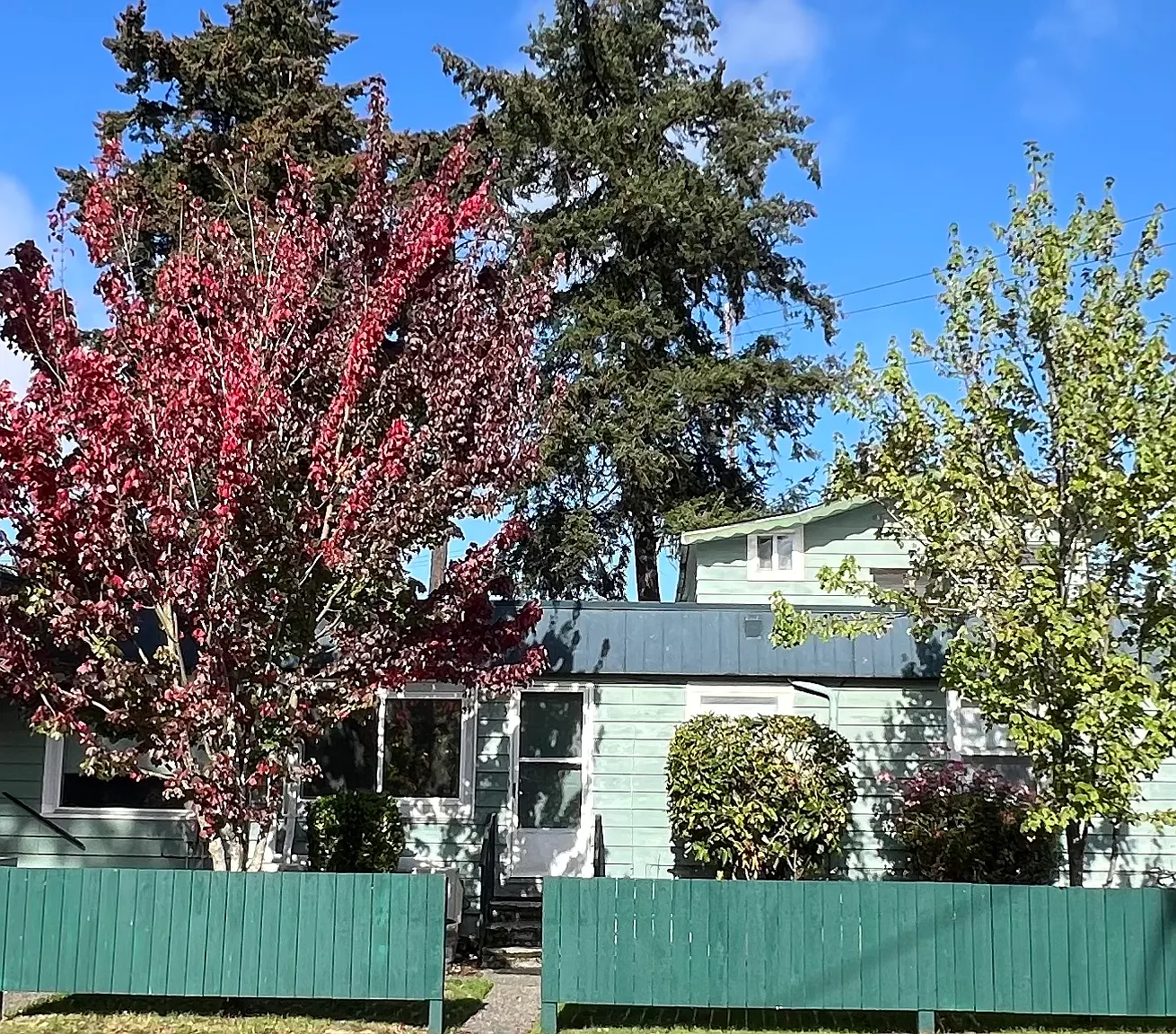 1 bed, 1.0 bath, $1,400 — Photo 2