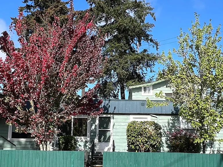 111th St SW — Photo 2