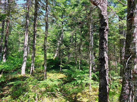 5th image of LOT 47 E Widow Point Loop