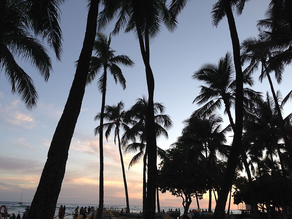 walk to Waikiki Beach!