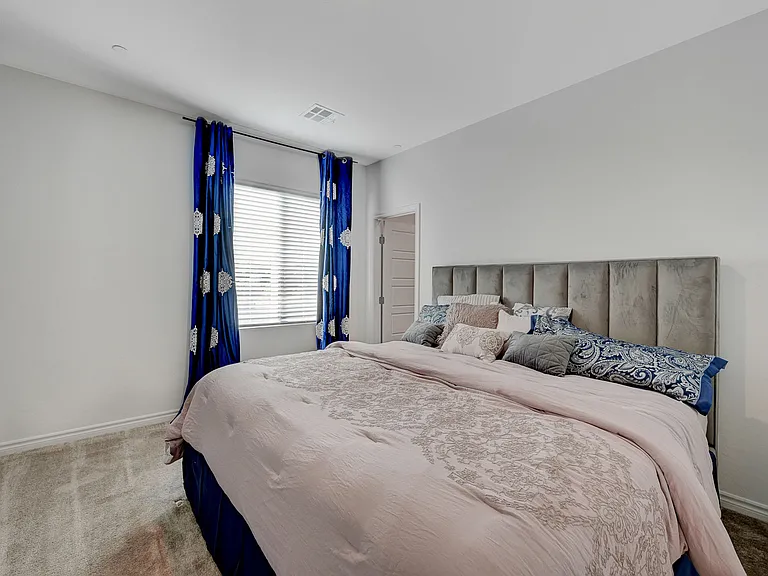 293 Mount Langley St — Photo 35