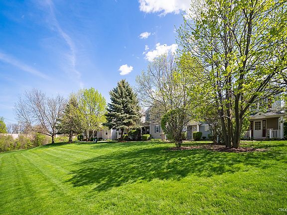 grassy area and mature trees