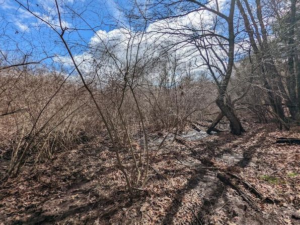 0 Mira Fork Rd NW #0, Willis, VA 24380