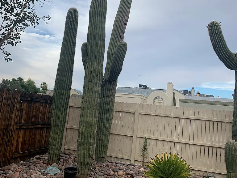 Outdoor area (connected to kitchen)