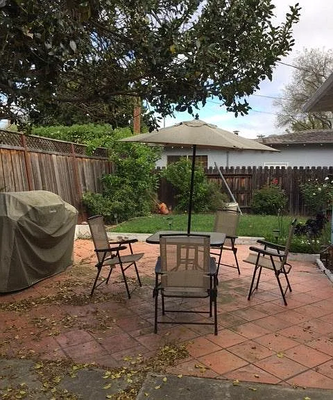 Backyard2