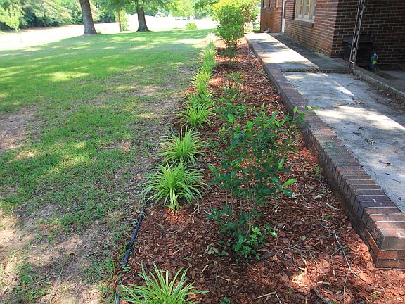 Landscaping 