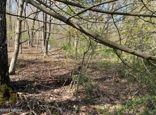 2363 Monument Orviston Rd, Beech Creek, PA 16822