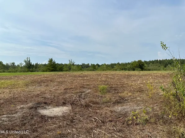 Oil Well Rd, Richton, MS 39476
