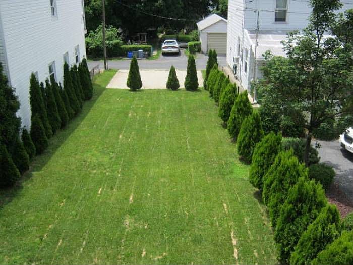 Back yard