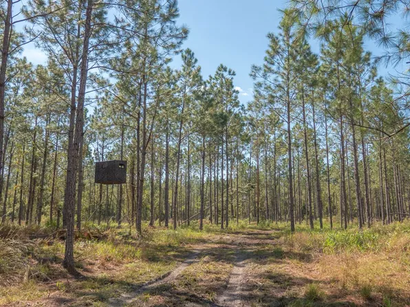 0 NE 67th Ave, Gainesville, FL 32609