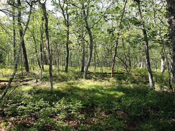 Lot 74 Perry Pond Road, Narrowsburg, NY 12764