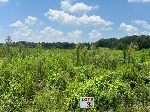Cedar Springs Rd, Ashford, AL 36312