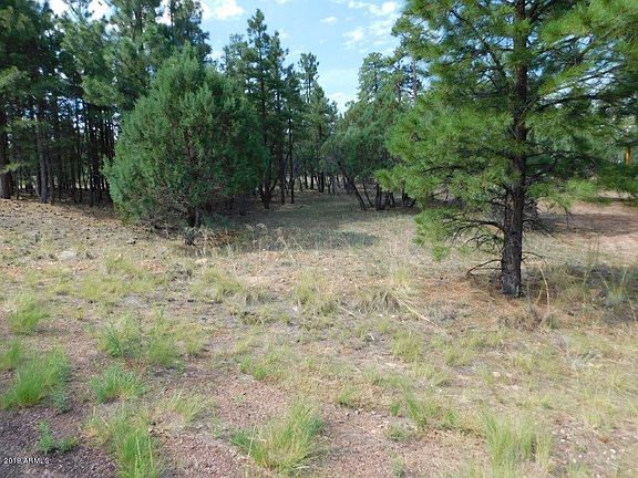 5th image of 1461 LOW MOUNTAIN Trail #149