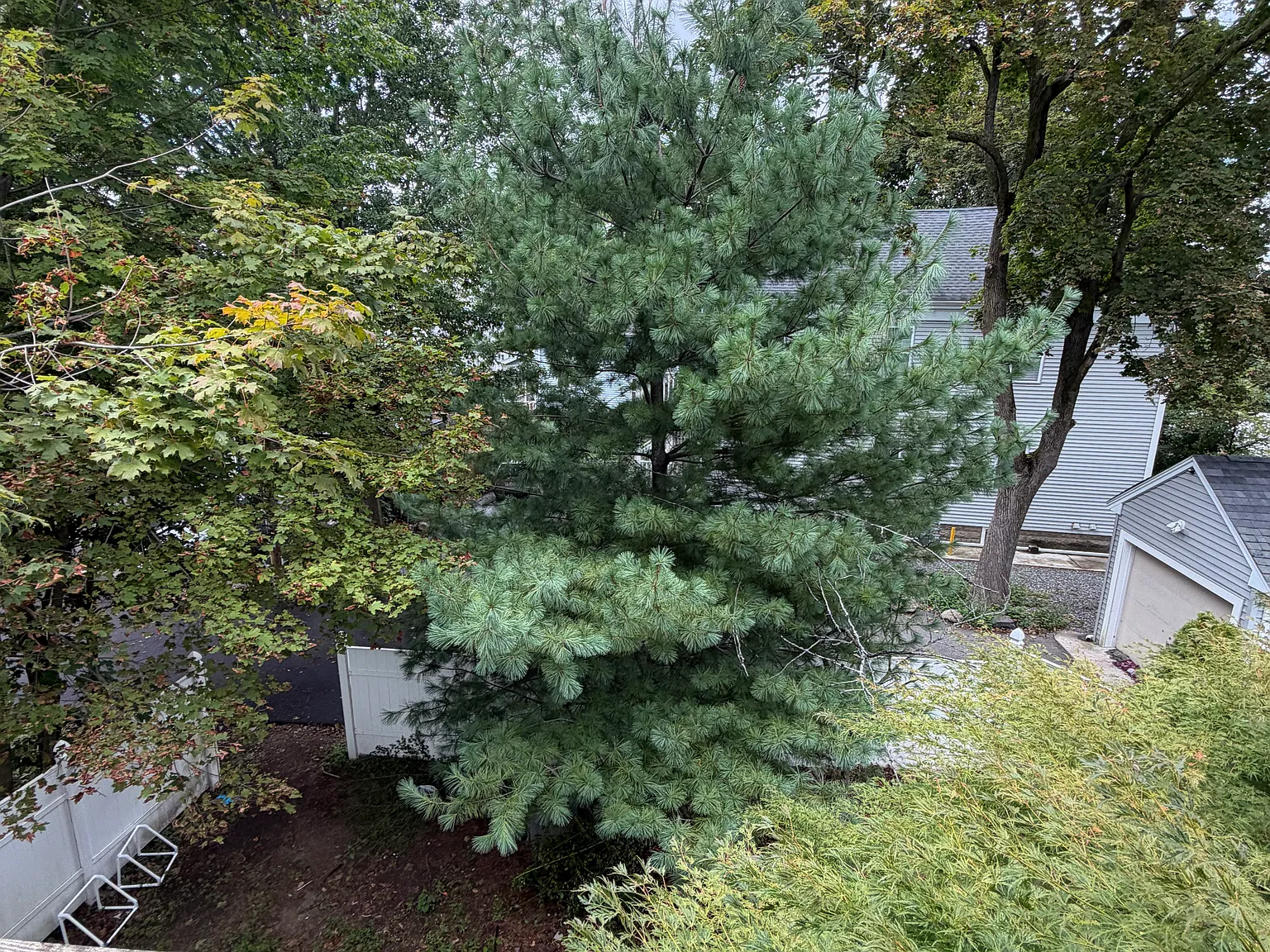2 bed, 750 sqft, $1,850 — Photo 2