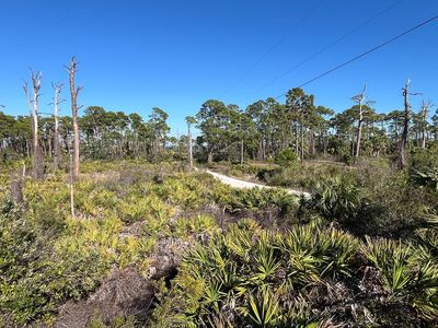 5580 Cape San Blas Rd, Port Saint Joe, FL, 32456