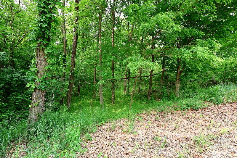 2nd image of Dotson Drive Vacant Dr