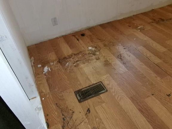 4th image of 1041 Blundell Hollow Rd