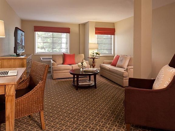 Spacious Living Room