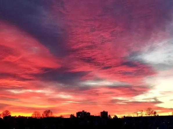 5340 Holmes Run Pkwy Unit 914, Alexandria, VA 22304