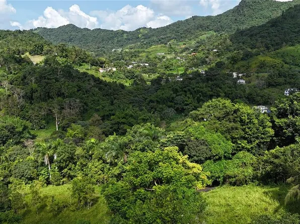 Km 8.0 Int Pr #765, Caguas, PR 00725