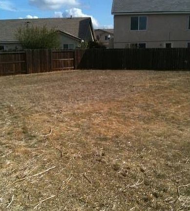 Back yard