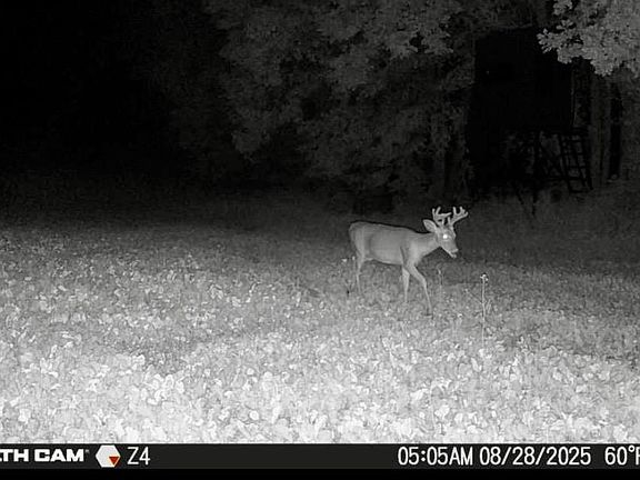 5th image of 13272 County Road 11