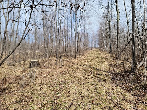 5th image of Elderwood Rd #80ACRES