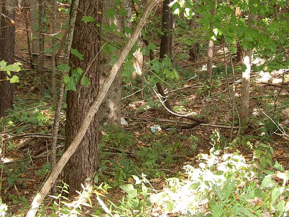 5th image of 0 Fox Ln