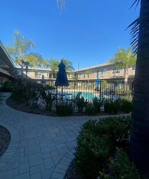 Palm Court — Photo 23