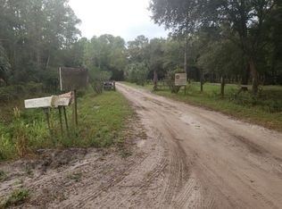 1245 Gee Whiz Dr, Osteen, FL 32764
