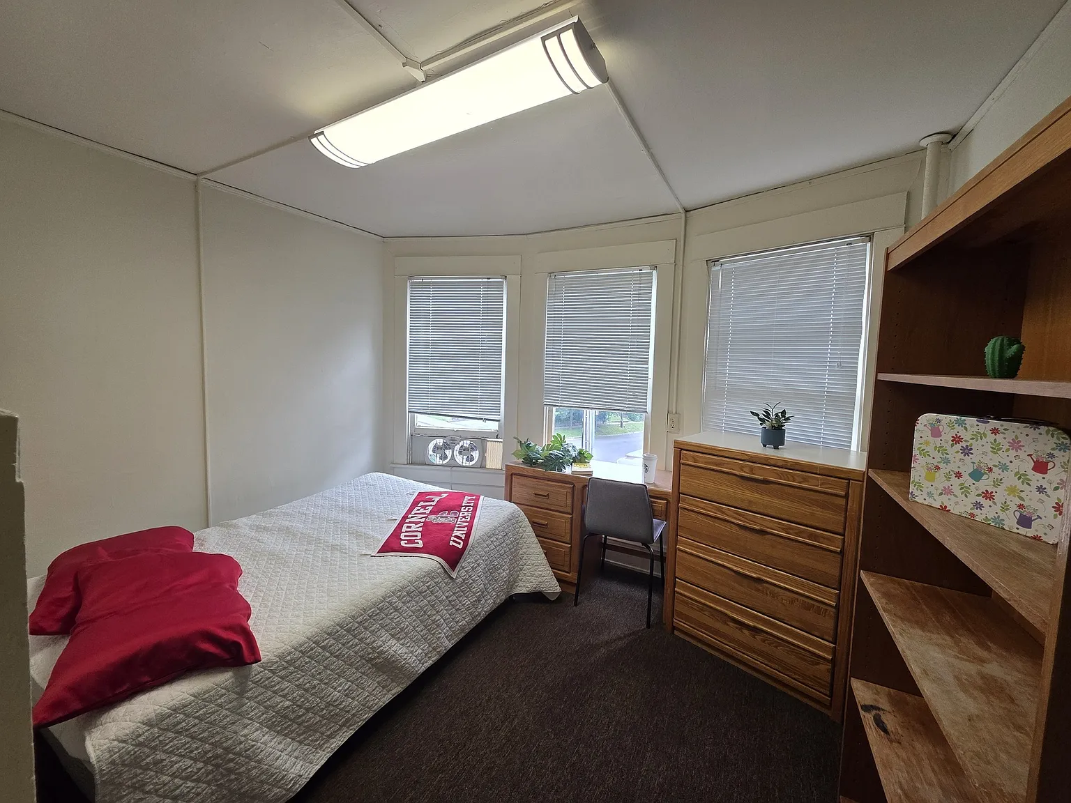 Rooms in Shared Housing, Just Steps from Cornell! — Photo 3