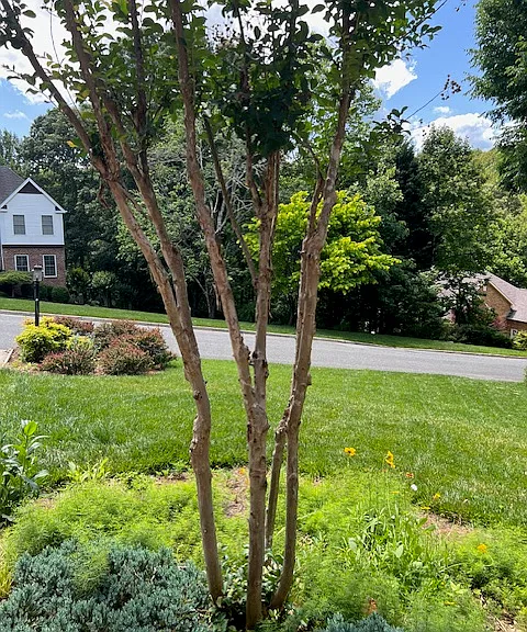 3609 Ridgecroft Dr — Photo 23