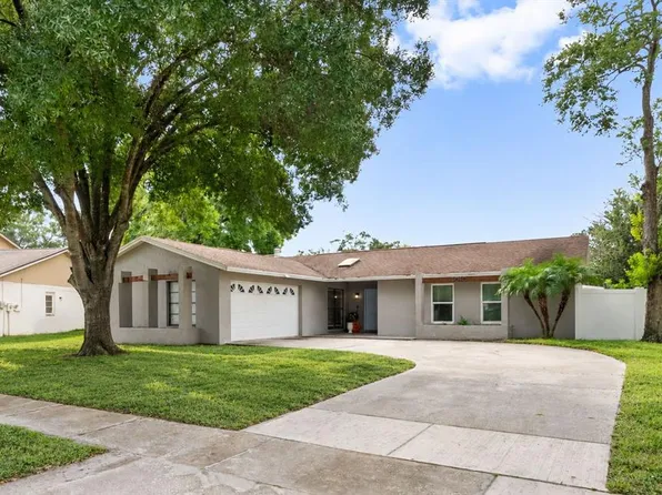 4010 BRAESGATE LANE, TAMPA, FL 33624