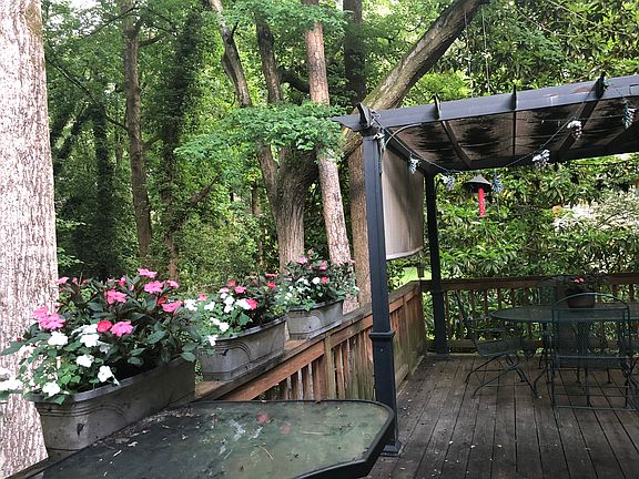 Deck and backyard view