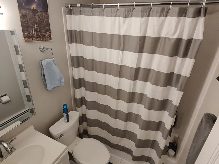 2401 Walnut St #4 — Photo 5