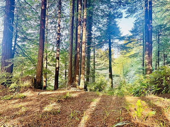 5th image of 0 Spears Rd