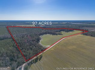 0 Tm Mimbs Rd, Hazlehurst, GA 31539