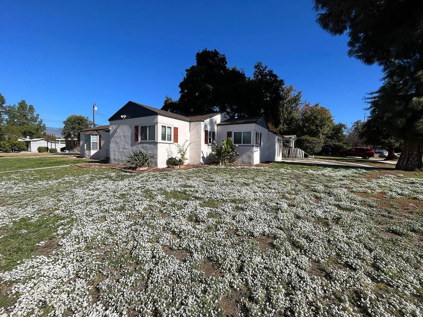 Single-Story 3-Bedroom Home on a Corner Lot Near U of R! — Photo 2