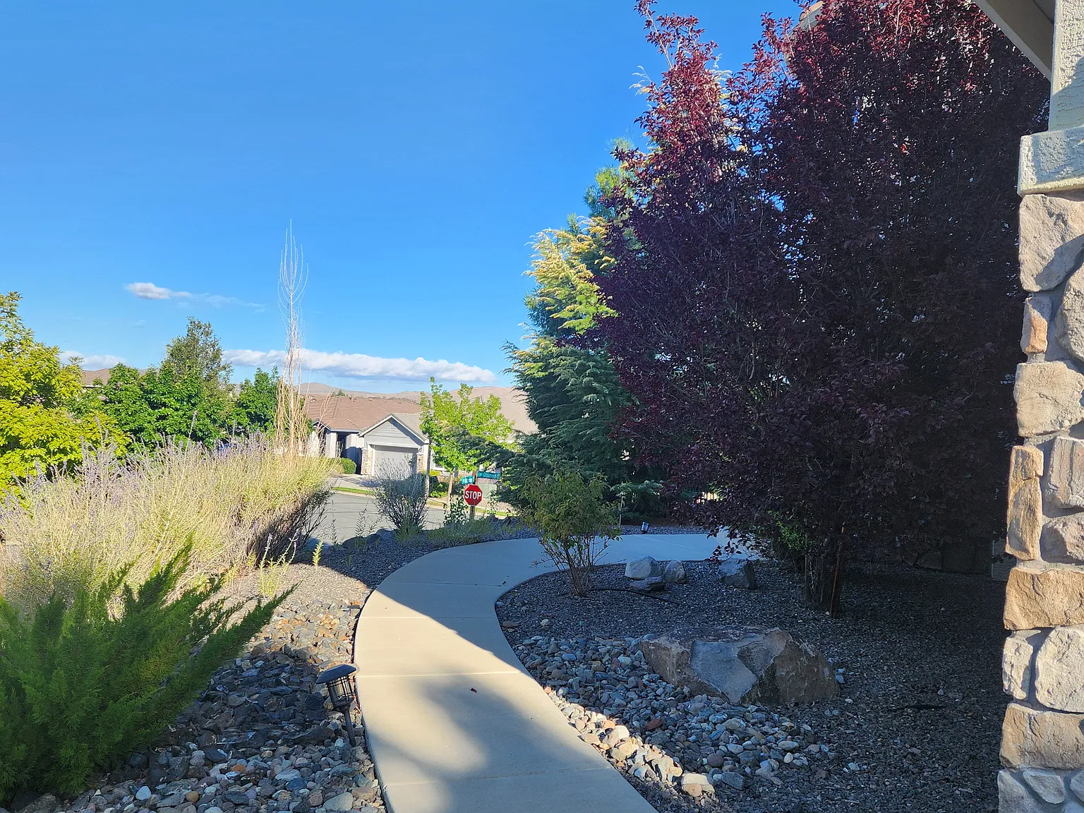 4 bed, 3038 sqft, $3,495 — Photo 3