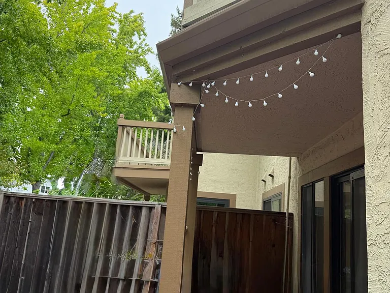 Backyard 1