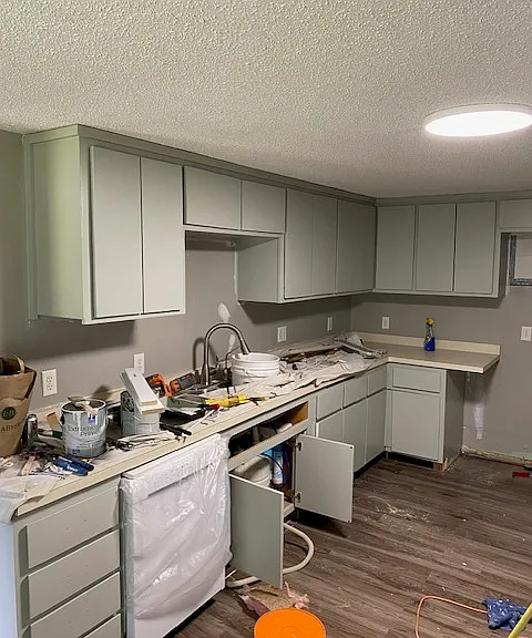 Kitchen - Refurbished Cabinets added dishwasher - Still need to paint walls